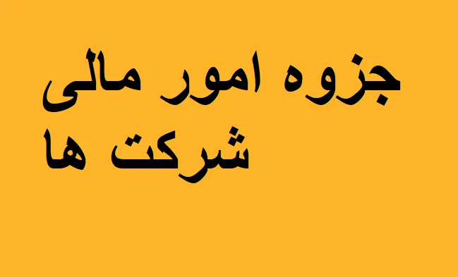 امور مالی شرکت ها
