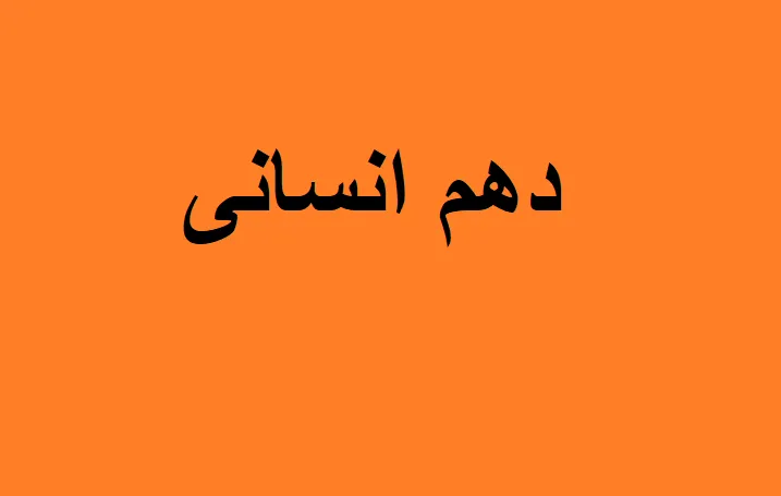دانلود رایگان تست ریاضی و امار دهم انسانی pdf