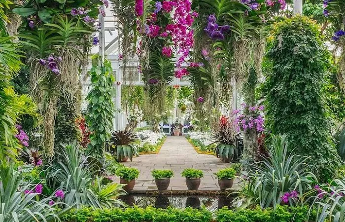 جزوه گیاه شناسی ۱